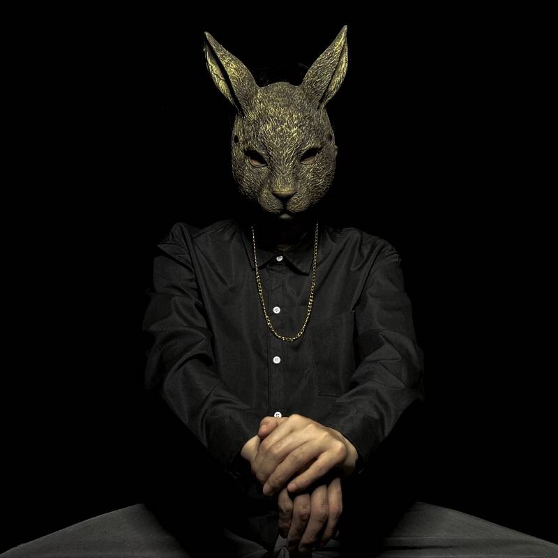 Rabbit Mask Full Face Children - Kids Face Mask recension och pris