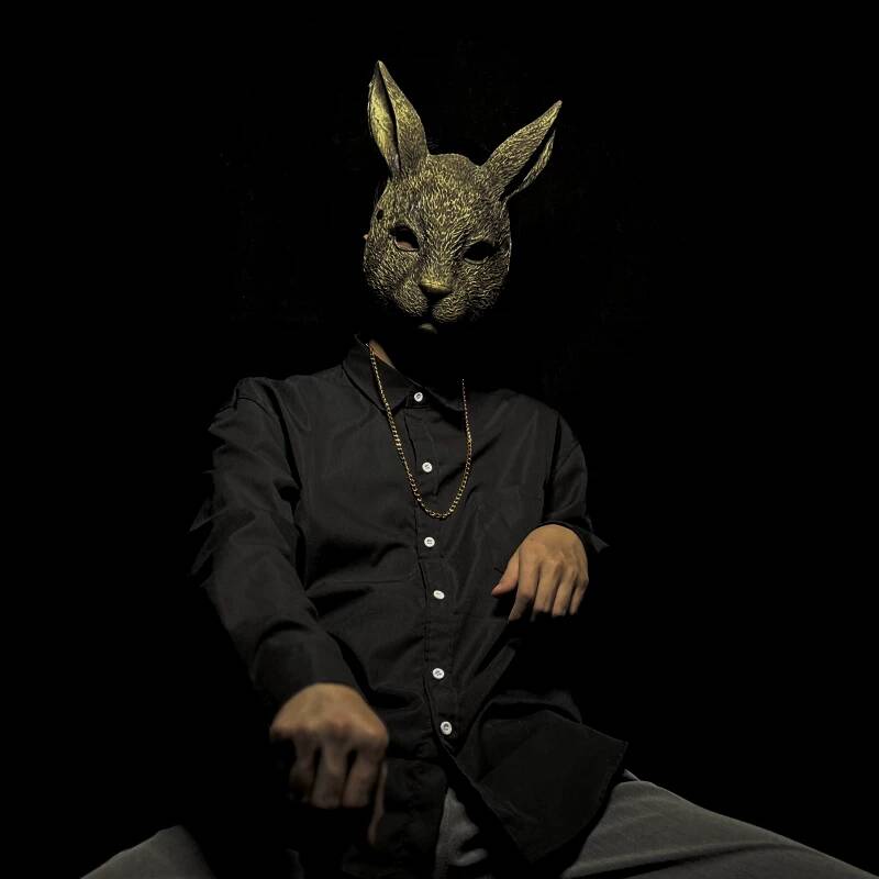 Rabbit Mask Full Face Children - Kids Face Mask recension och pris
