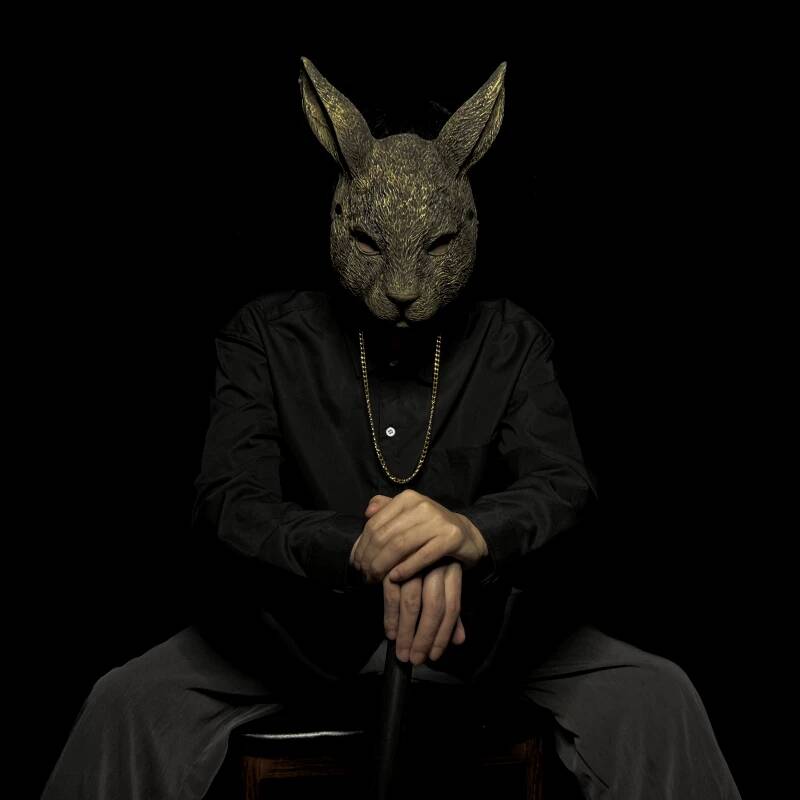 Rabbit Mask Full Face Children - Kids Face Mask recension och pris
